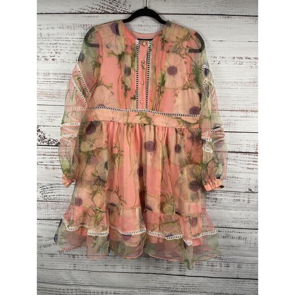 Cynthia Rowley Dresses & Skirts - Cynthia Rowley Dress Womens XS Pink Floral Sheer Chiffon Ruffle Boho Long Sleeve